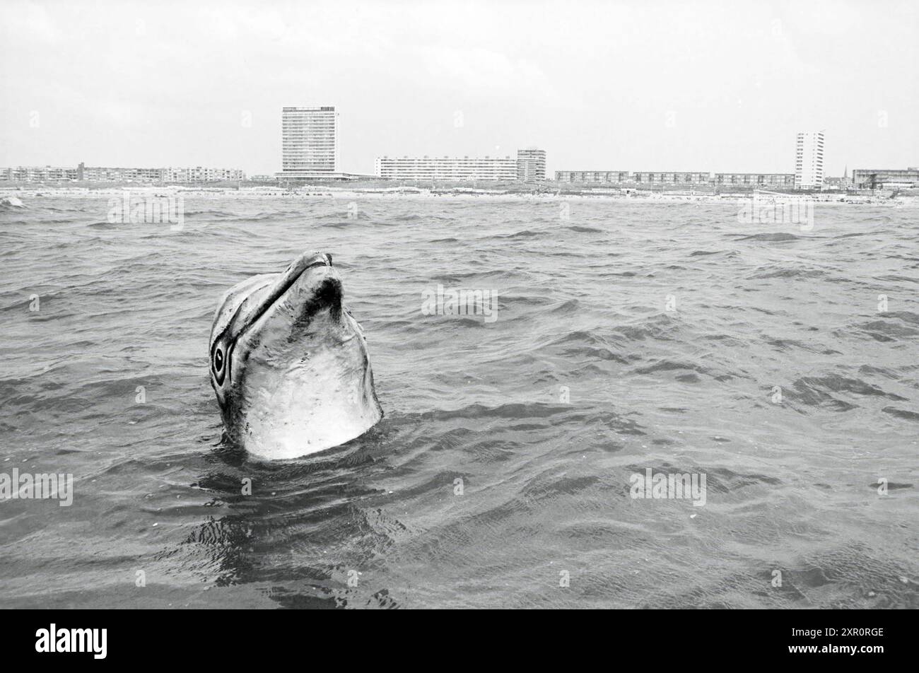 Dauphin au large de la côte de Zandvoort, Dolfinarium, Zandvoort, Zandvoort, 28-07-1982, Whizgle Dutch News : des images historiques sur mesure pour l'avenir. Explorez le passé néerlandais avec des perspectives modernes grâce à des images d'agences néerlandaises. Concilier les événements d'hier avec les perspectives de demain. Embarquez pour un voyage intemporel avec des histoires qui façonnent notre avenir. Banque D'Images