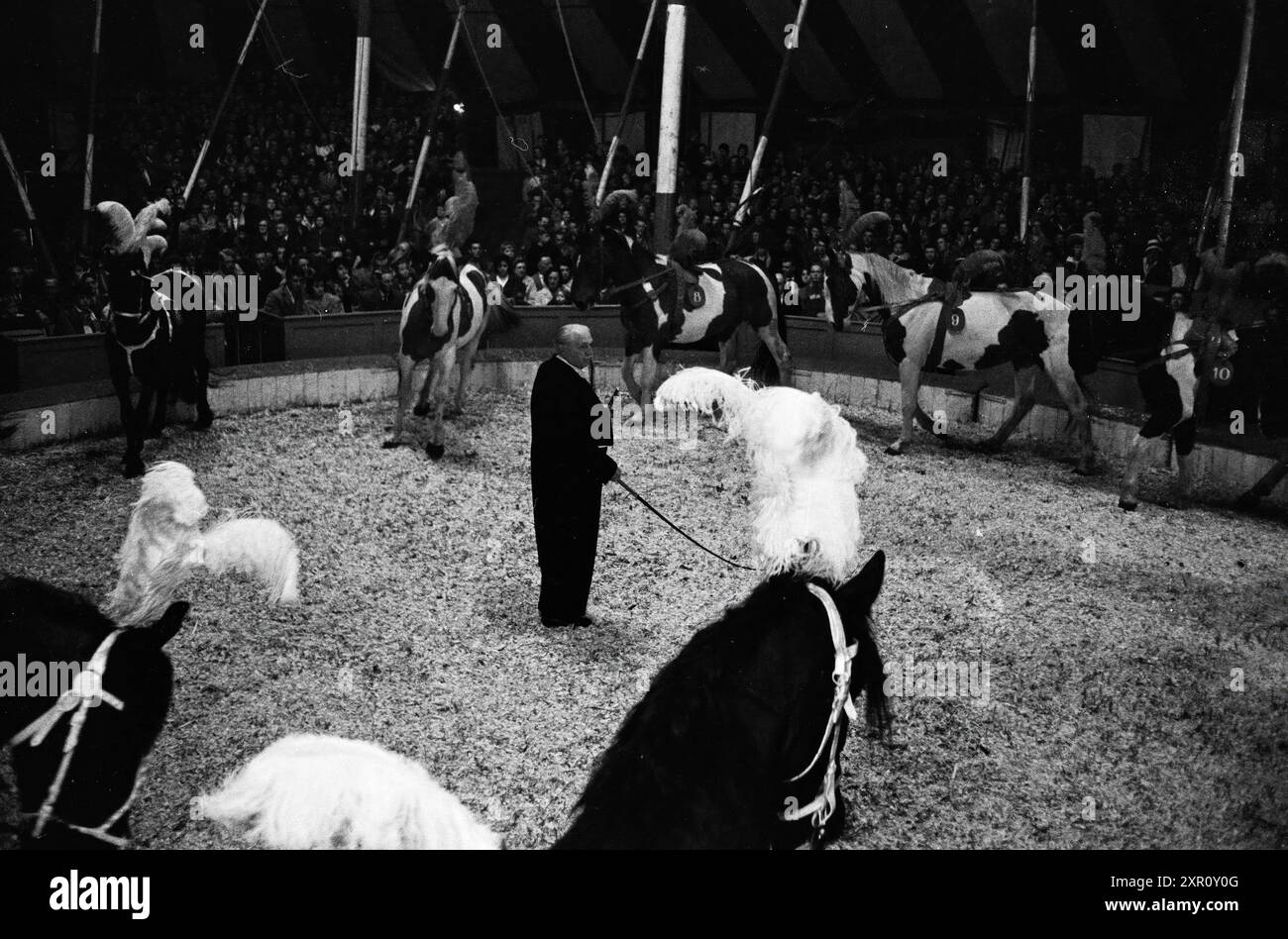 Cirque Boltini (3). 1-9 singe et lion Bartje 10-11 Toni Boltini et Mr. mils', Cirque, 06-05-1961, Whizgle Dutch News : images historiques sur mesure pour l'avenir. Explorez le passé néerlandais avec des perspectives modernes grâce à des images d'agences néerlandaises. Concilier les événements d'hier avec les perspectives de demain. Embarquez pour un voyage intemporel avec des histoires qui façonnent notre avenir. Banque D'Images