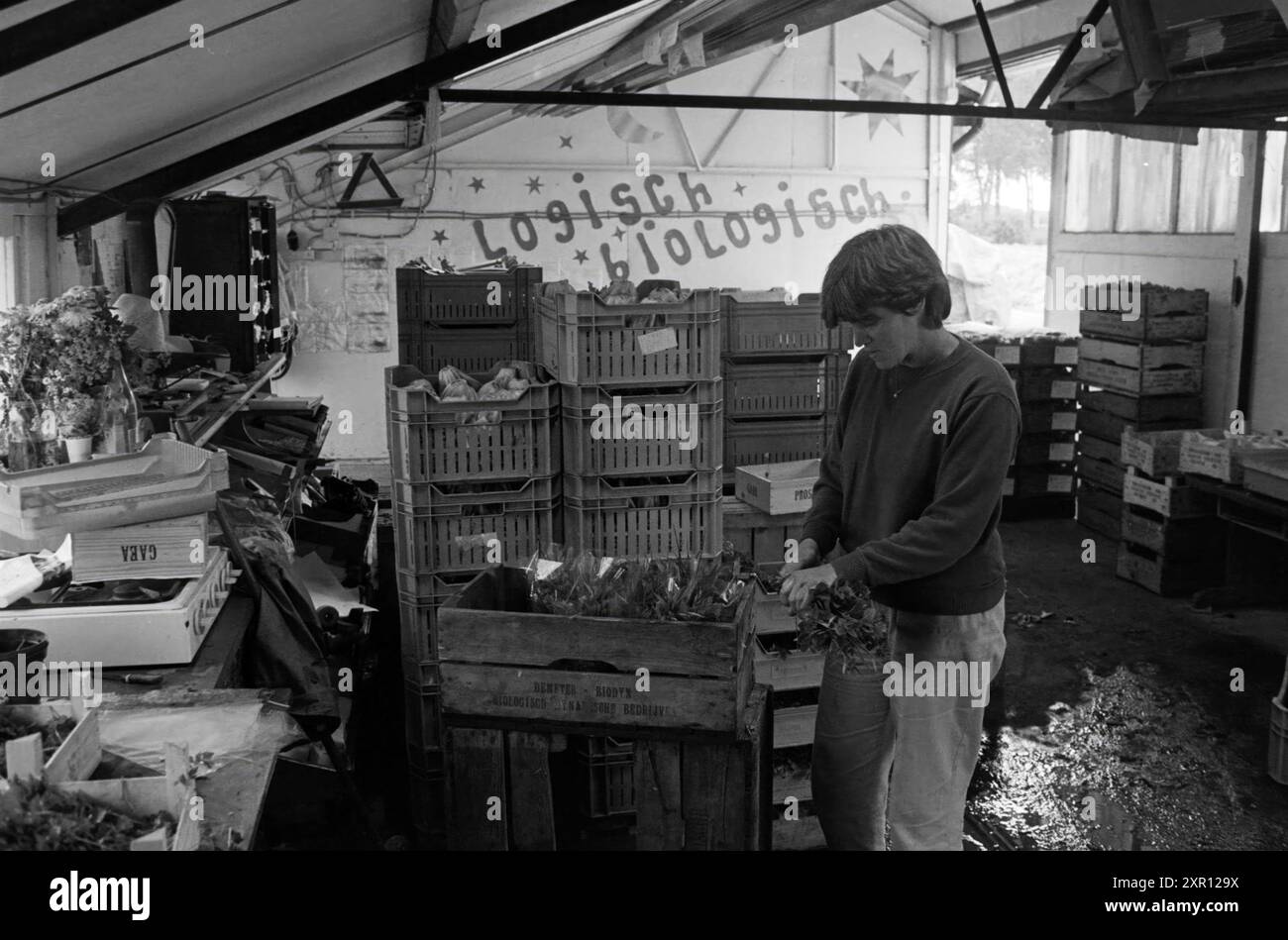 Bio Dynamic Nursery 4 saisons, pépinières, cultivateurs, 16-07-1984, Whizgle Dutch News : images historiques sur mesure pour l'avenir. Explorez le passé néerlandais avec des perspectives modernes grâce à des images d'agences néerlandaises. Concilier les événements d'hier avec les perspectives de demain. Embarquez pour un voyage intemporel avec des histoires qui façonnent notre avenir. Banque D'Images