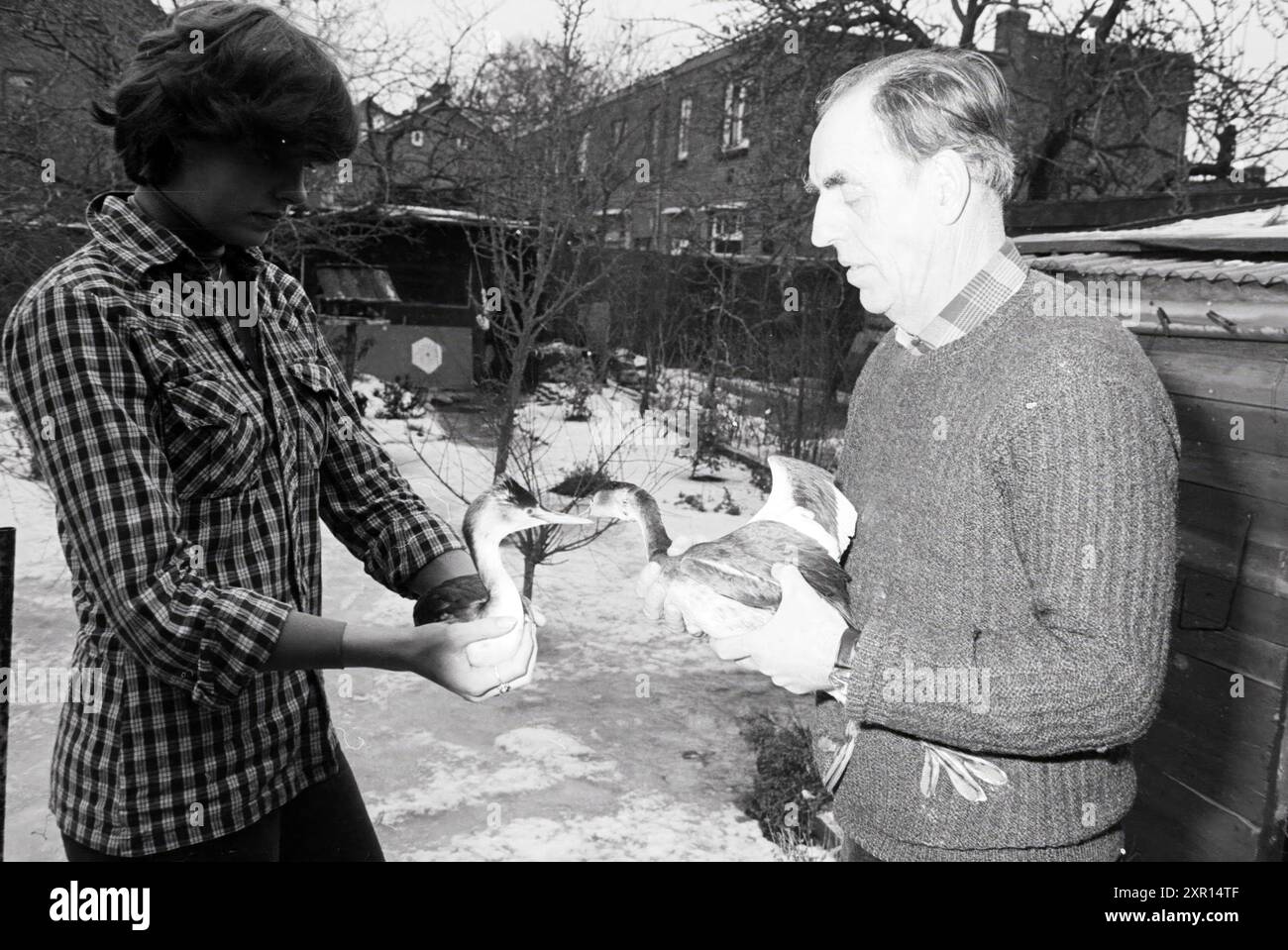 Mr de Vries with Birds, Birds, 25-01-1979, Whizgle Dutch News : images historiques adaptées à l'avenir. Explorez le passé néerlandais avec des perspectives modernes grâce à des images d'agences néerlandaises. Concilier les événements d'hier avec les perspectives de demain. Embarquez pour un voyage intemporel avec des histoires qui façonnent notre avenir. Banque D'Images