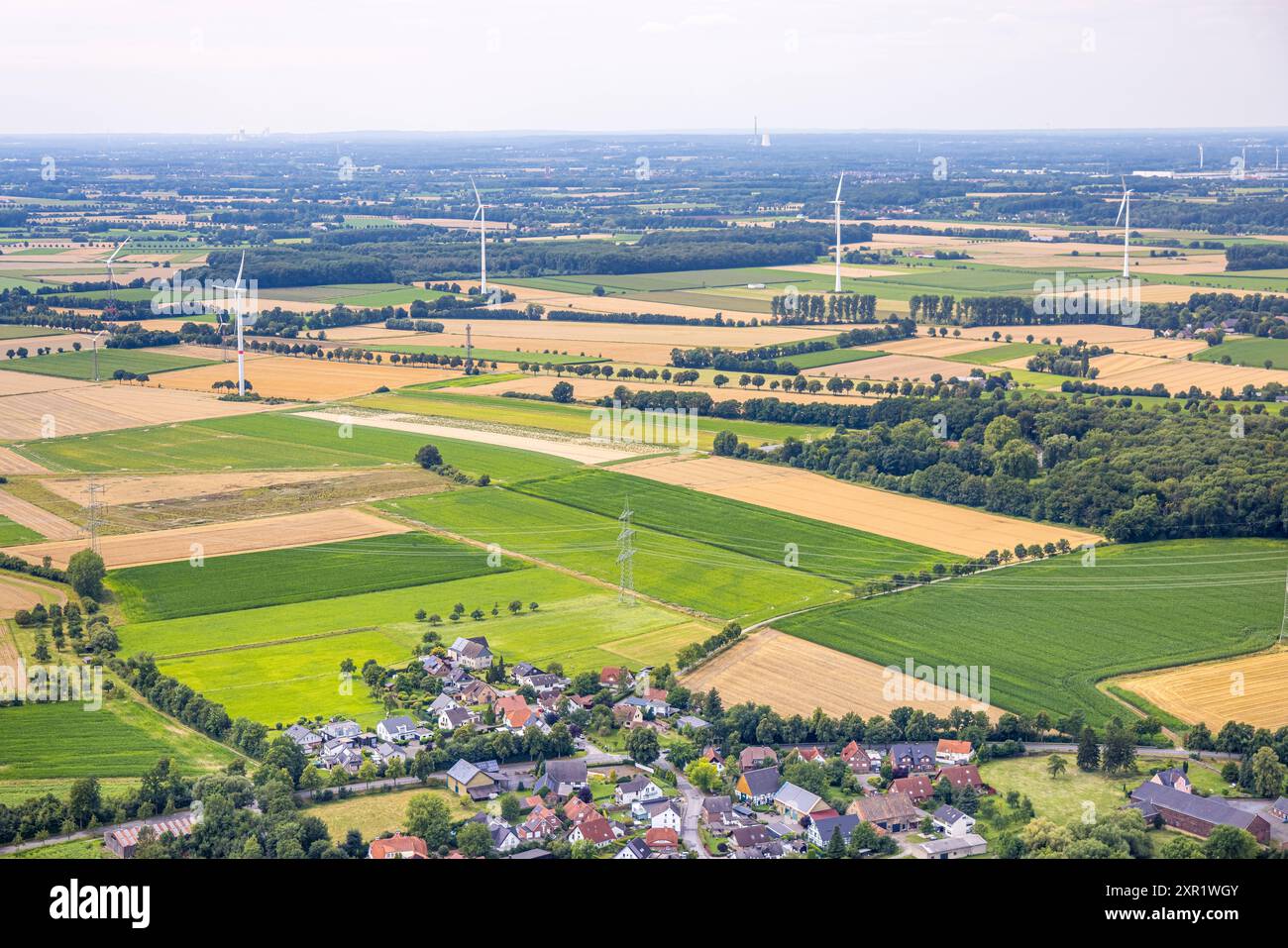 Luftbild, Wiesen und Felder mit Baumallee und Windräder BEI Budberg, Fernsicht, Budberg, Werl, Soester Börde, Nordrhein-Westfalen, Deutschland ACHTUNGxMINDESTHONORARx60xEURO *** vue aérienne, prairies et champs avec avenue d'arbres et éoliennes près de Budberg, vue lointaine, Budberg, Werl, Soester Börde, Rhénanie du Nord-Westphalie, Allemagne ACHTUNGxMINDESTHONORARx60xEURO Banque D'Images