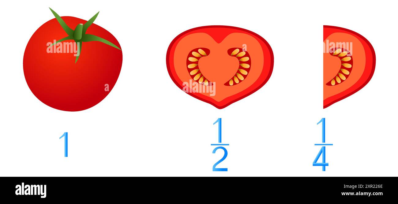 Jeux mathématiques pour enfants. Étudiez les nombres de fractions, par exemple avec des tomates. Illustration de Vecteur