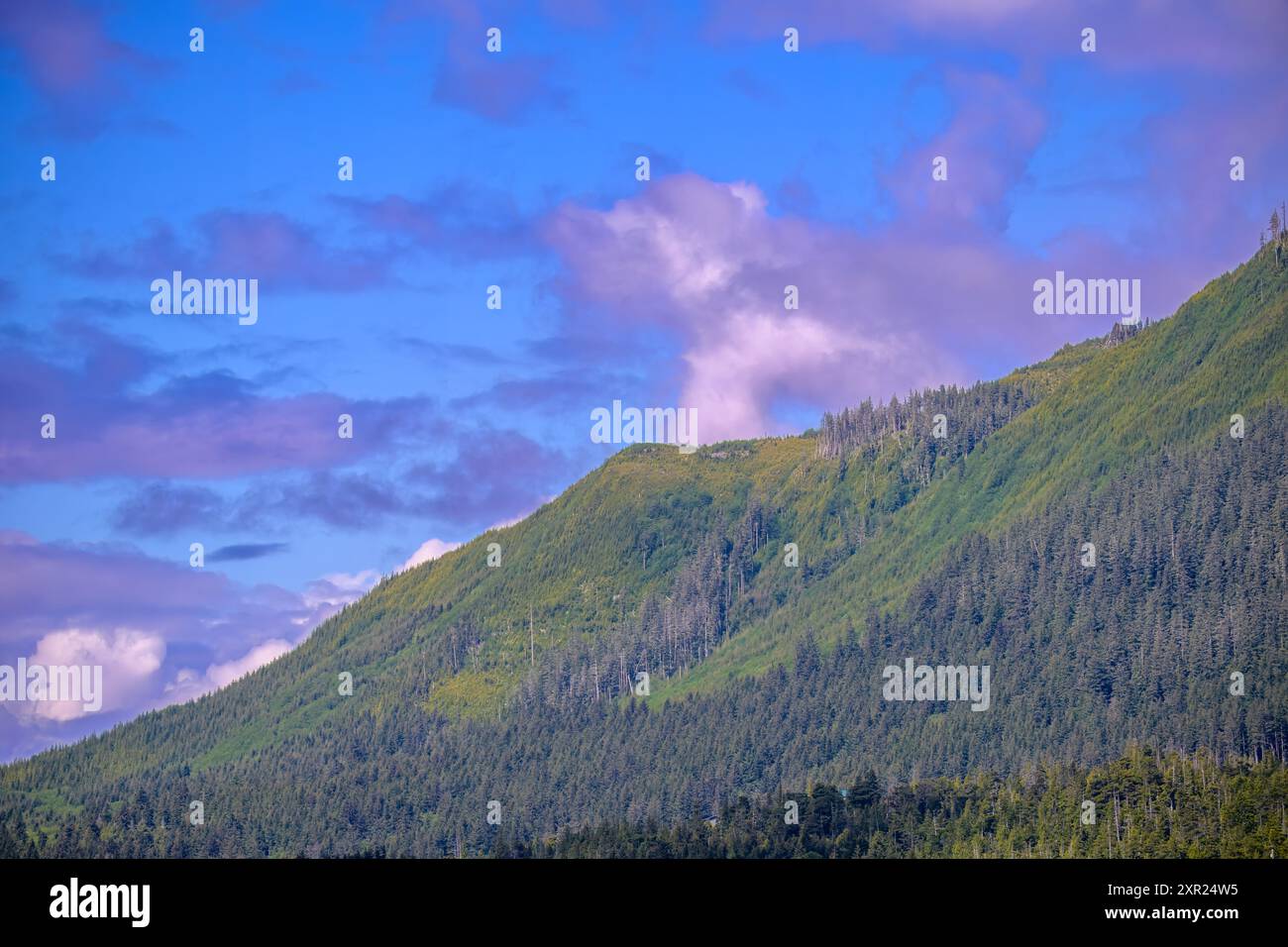 Ciel bleu rempli de nuages blancs et gris bleus sur de hautes montagnes couvertes de forêts vertes. Banque D'Images