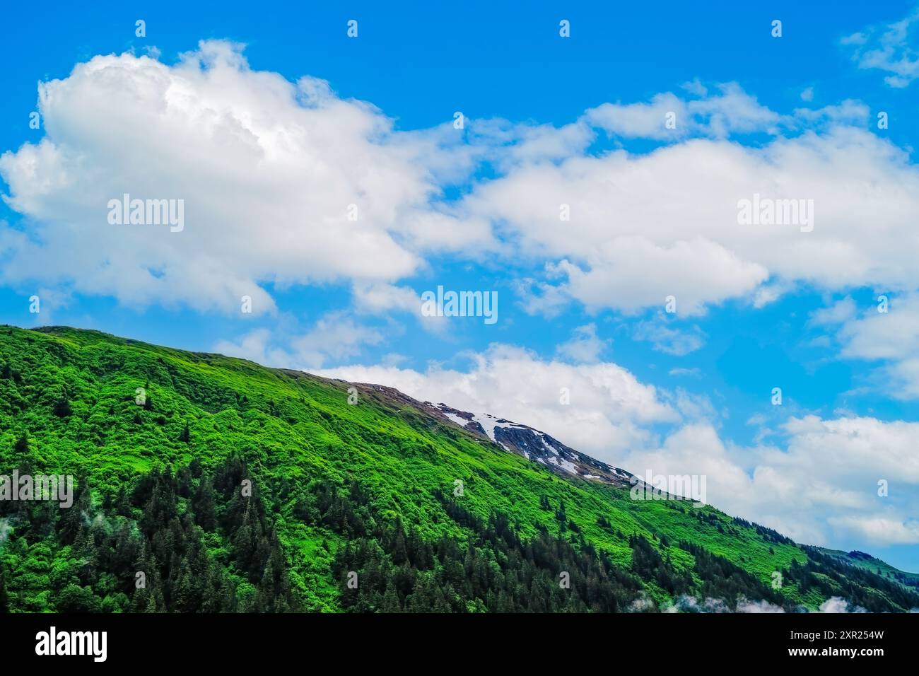 Neige au sommet d'une montagne rocheuse avec des arbres verts et des forêts sous un ciel bleu avec des nuages blancs moelleux en Alaska. Banque D'Images