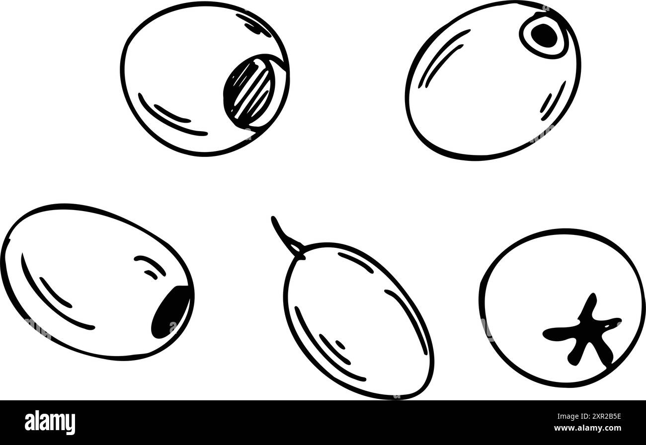 Ensemble d'olives isolé sur fond blanc. Illustration vectorielle dessinée à la main, esquisse linéaire. Peut être utilisé pour le menu, l'emballage du produit et la conception alimentaire Illustration de Vecteur