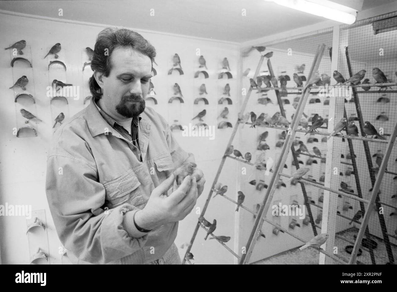 Man with Birds, Whizgle Dutch News : des images historiques sur mesure pour l'avenir. Explorez le passé néerlandais avec des perspectives modernes grâce à des images d'agences néerlandaises. Concilier les événements d'hier avec les perspectives de demain. Embarquez pour un voyage intemporel avec des histoires qui façonnent notre avenir. Banque D'Images