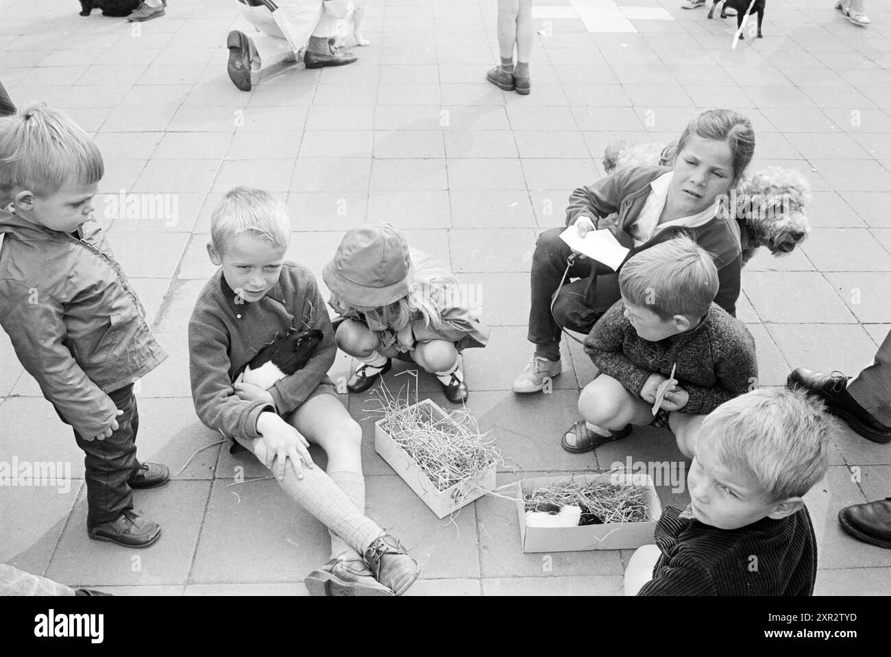 Spectacle animalier pour les enfants, Festival, festivités et manifestations, 06-05-1968, Whizgle Dutch News : images historiques sur mesure pour l'avenir. Explorez le passé néerlandais avec des perspectives modernes grâce à des images d'agences néerlandaises. Concilier les événements d'hier avec les perspectives de demain. Embarquez pour un voyage intemporel avec des histoires qui façonnent notre avenir. Banque D'Images