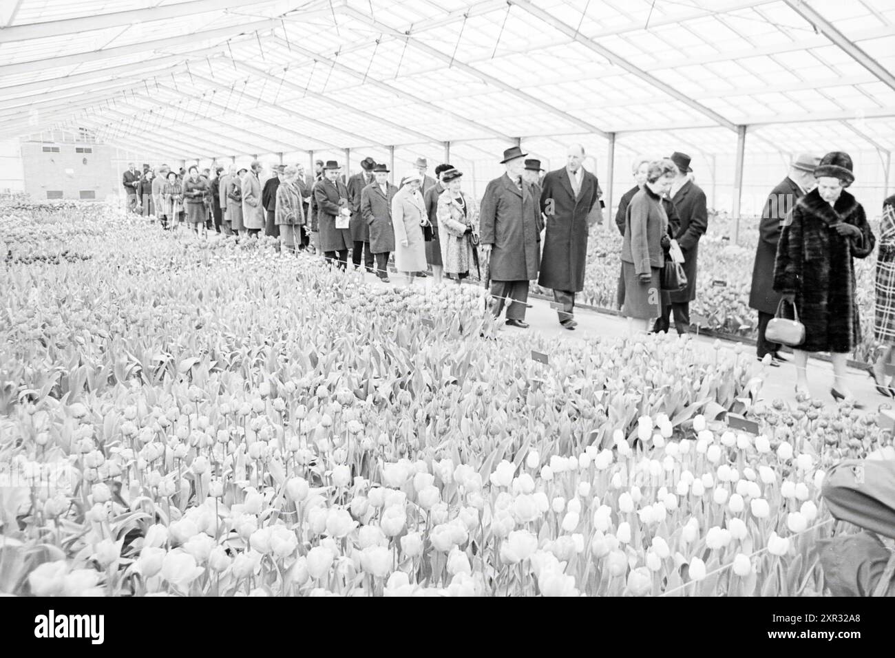 Ouverture par le ministre Luns, domaine de la Fondation Keukenhof à lisse, Stationsweg, 25-03-1964, Whizgle Dutch News : des images historiques sur mesure pour l'avenir. Explorez le passé néerlandais avec des perspectives modernes grâce à des images d'agences néerlandaises. Concilier les événements d'hier avec les perspectives de demain. Embarquez pour un voyage intemporel avec des histoires qui façonnent notre avenir. Banque D'Images