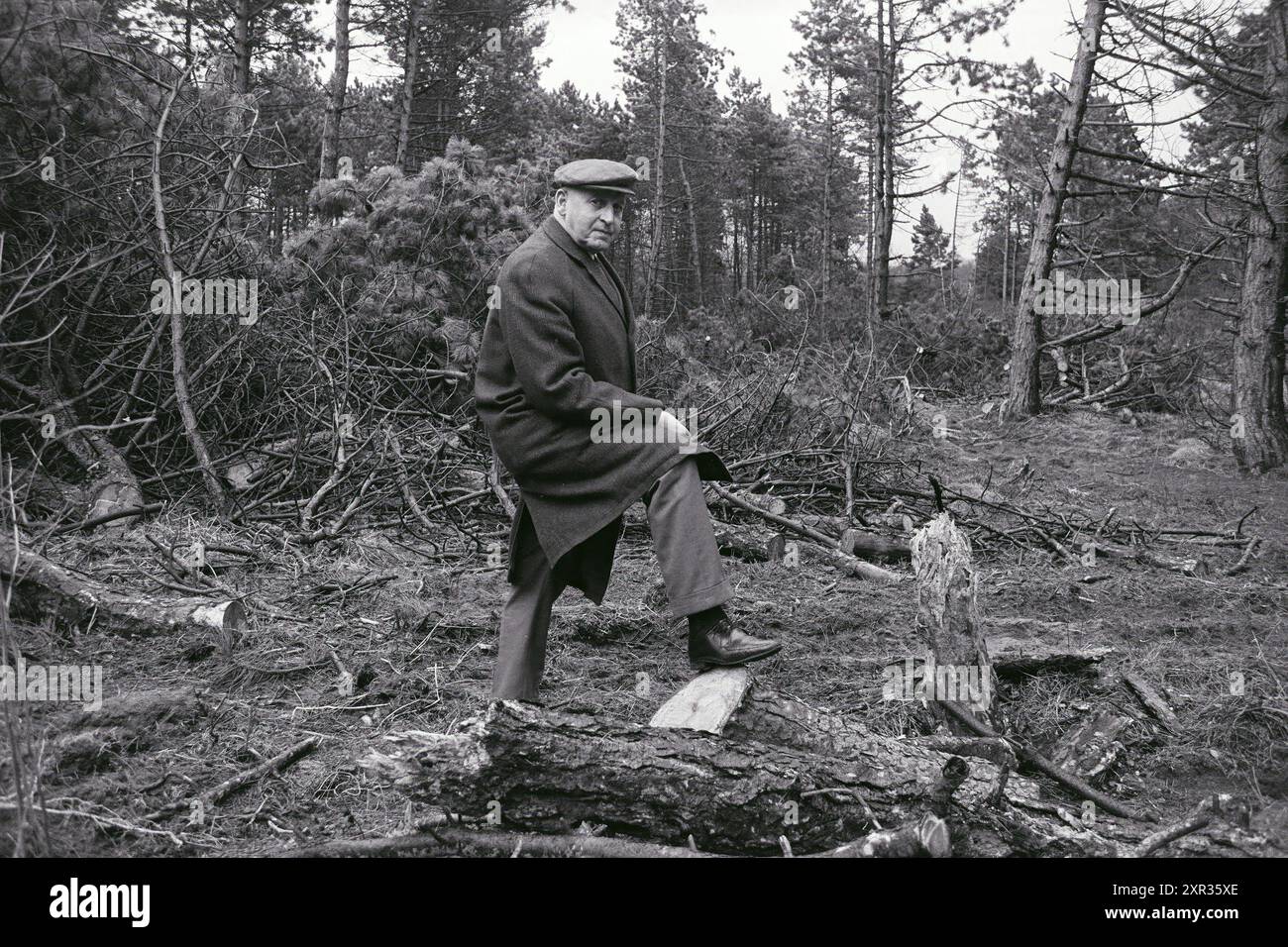 Coupe d'arbres, Whizgle Dutch News : des images historiques sur mesure pour l'avenir. Explorez le passé néerlandais avec des perspectives modernes grâce à des images d'agences néerlandaises. Concilier les événements d'hier avec les perspectives de demain. Embarquez pour un voyage intemporel avec des histoires qui façonnent notre avenir. Banque D'Images
