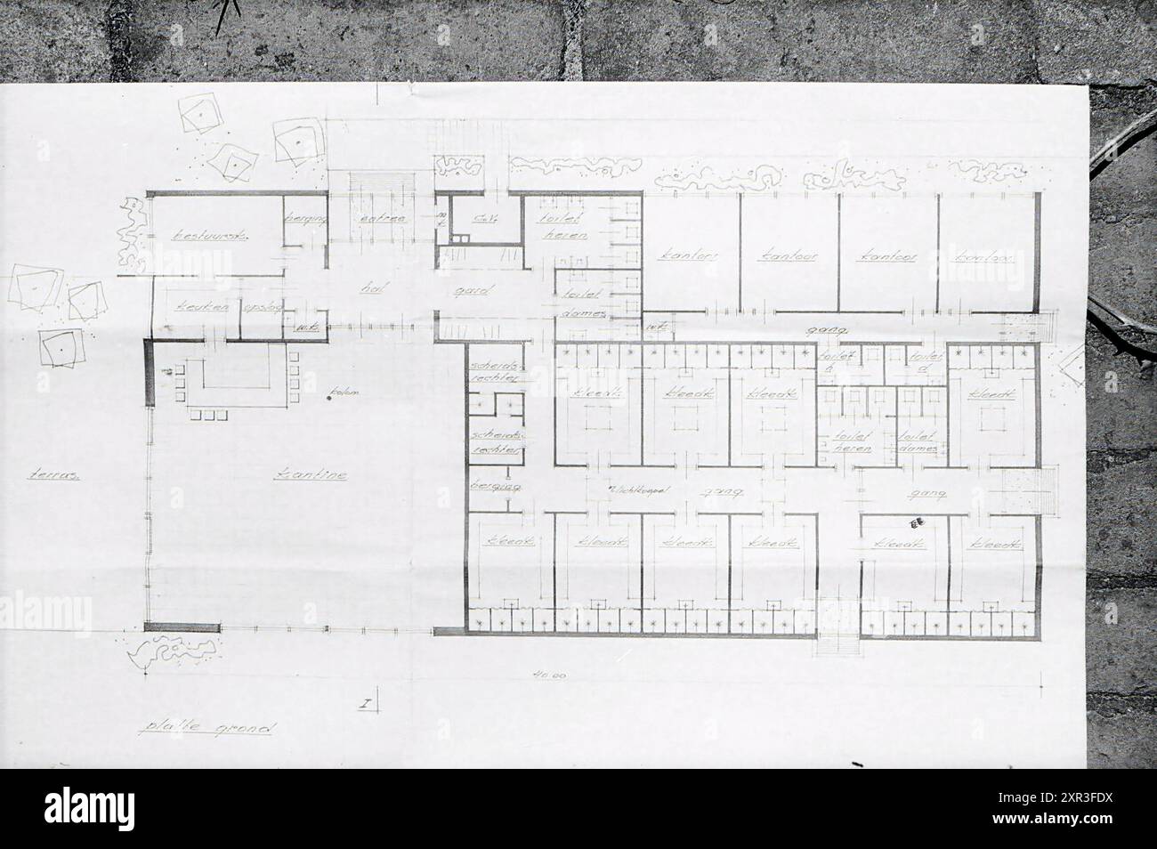 Dessin de design d'hébergement sportif, 00-00-1971, Whizgle Dutch News : images historiques sur mesure pour l'avenir. Explorez le passé néerlandais avec des perspectives modernes grâce à des images d'agences néerlandaises. Concilier les événements d'hier avec les perspectives de demain. Embarquez pour un voyage intemporel avec des histoires qui façonnent notre avenir. Banque D'Images