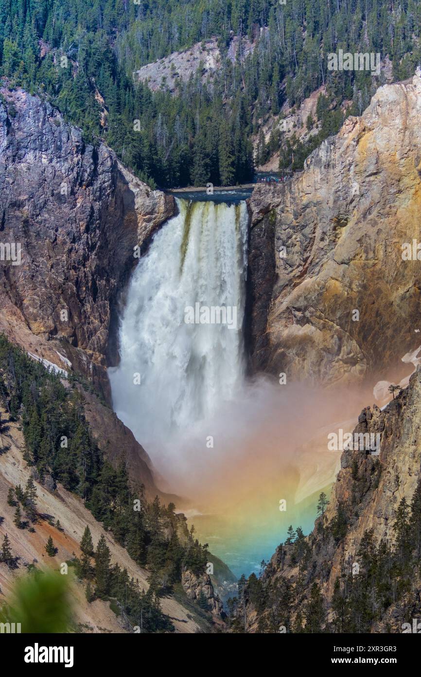 Arc-en-ciel dans la brume à la chute d'eau Grand canyon dans le parc national de Yellowstone, Wyoming , États-Unis Banque D'Images
