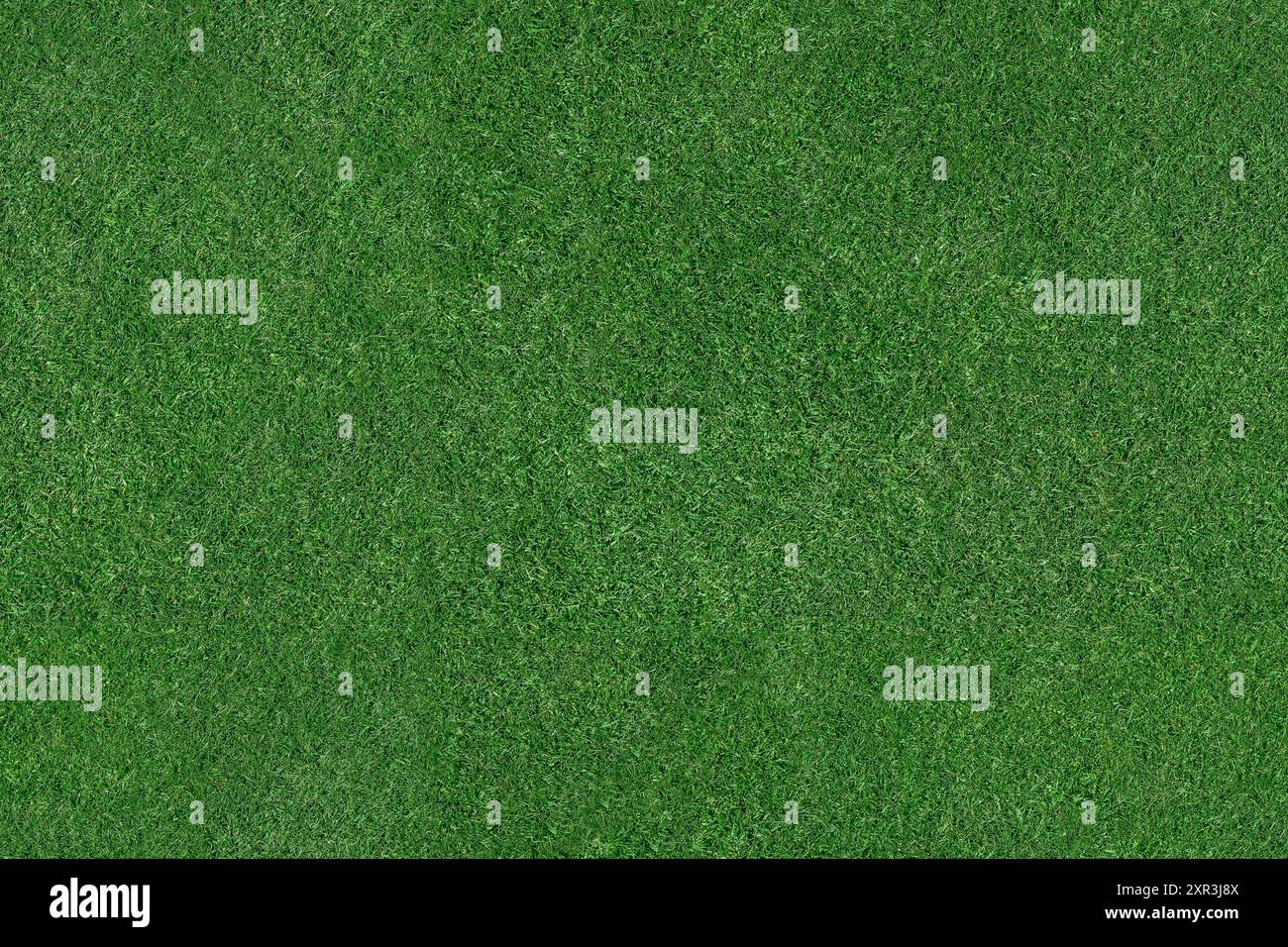 Herbe - vue aérienne d'une grande parcelle d'herbe fraîchement coupée, saine et verte. L'image est prête à être mosaïque en une image de texture sans couture beaucoup plus grande. Banque D'Images