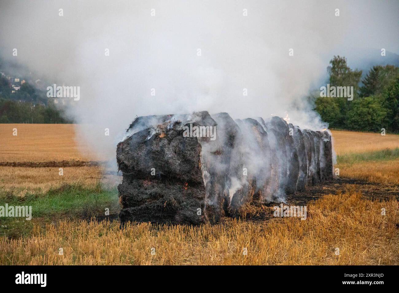 240808Strohballenbrand News ID : en 2024-08-08 Strohballenbrand beschäftigt Einsatzkräfte Landwirte unterstützen Brandbekämpfung Gornau. AM Donnerstagabend gegen 19:50 Uhr ist auf einem Feld an der Eisenstraße ein Strohballenbrand ausgebrochen. Wie die Feuerwehr berichtet, standen BEI Ankunft der ersten Kräfte, 30 Strohballen in Vollbrand. Umgehend begann man mit der Brandbekämpfung. Zeitgleich verhinderten die Kameraden eine weitere Ausbreitung des Brandes. unterstützt wurden die Löschmaßnahmen von Landwirten. Diese pflügten das Stoppelfeld um und nahmen SO dem Feuer das brennbare matériel. Au Banque D'Images