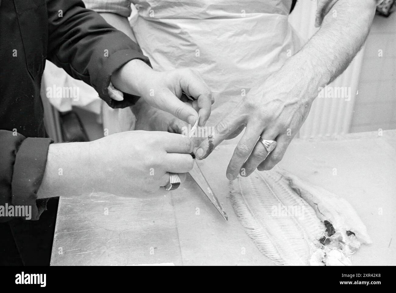 Examen de filet de poisson Ecole maritime IJmuiden, Pêches et autres, poissonniers, pêche, expédition maritime, IJmuiden, pays-Bas, 24-03-1981, Whizgle Dutch News : des images historiques sur mesure pour l'avenir. Explorez le passé néerlandais avec des perspectives modernes grâce à des images d'agences néerlandaises. Concilier les événements d'hier avec les perspectives de demain. Embarquez pour un voyage intemporel avec des histoires qui façonnent notre avenir. Banque D'Images
