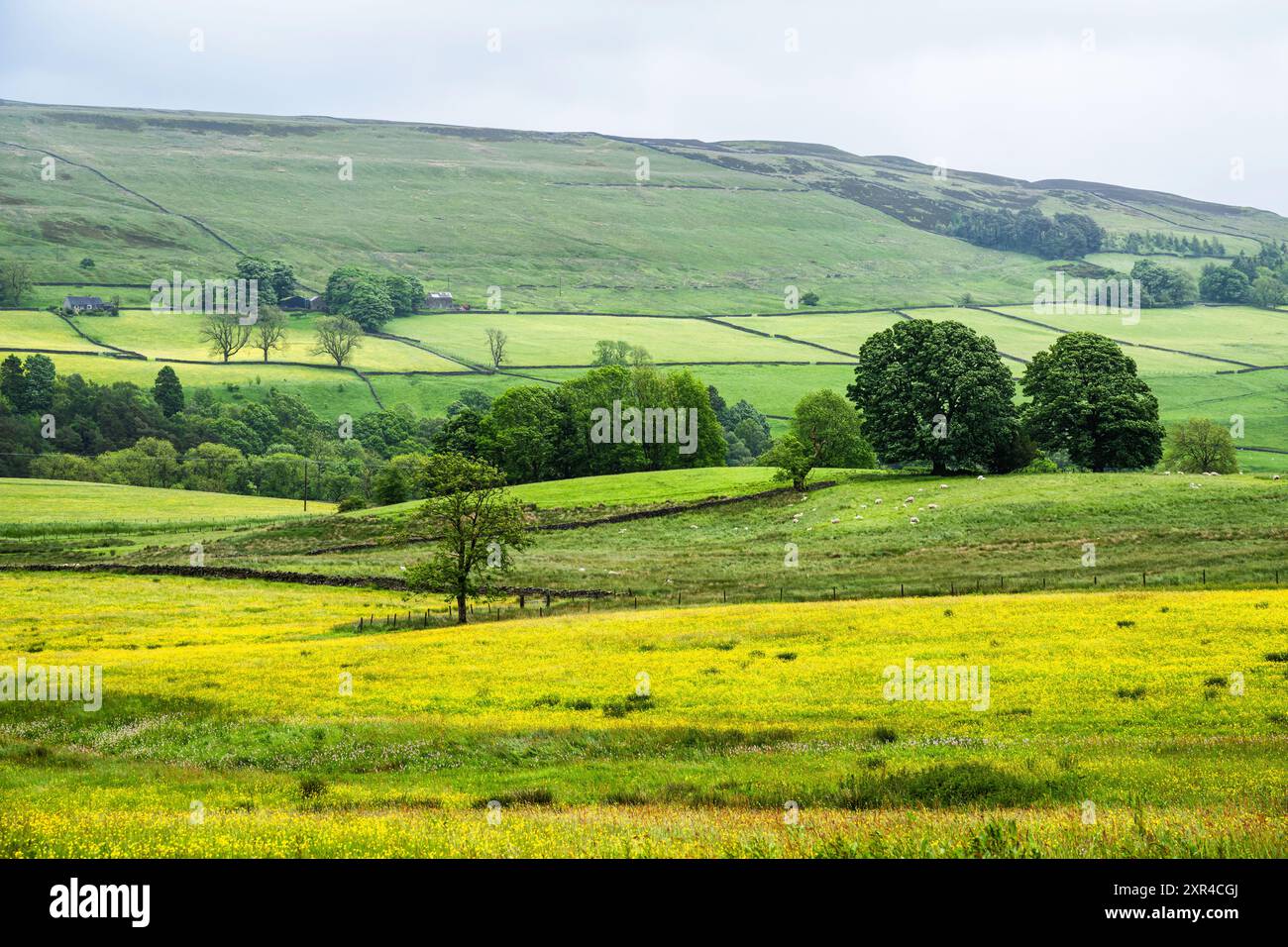 Fermes au-dessus des Pennines du Nord, Cumbria, Durham, Northumberland, North Yorkshire, Angleterre Banque D'Images