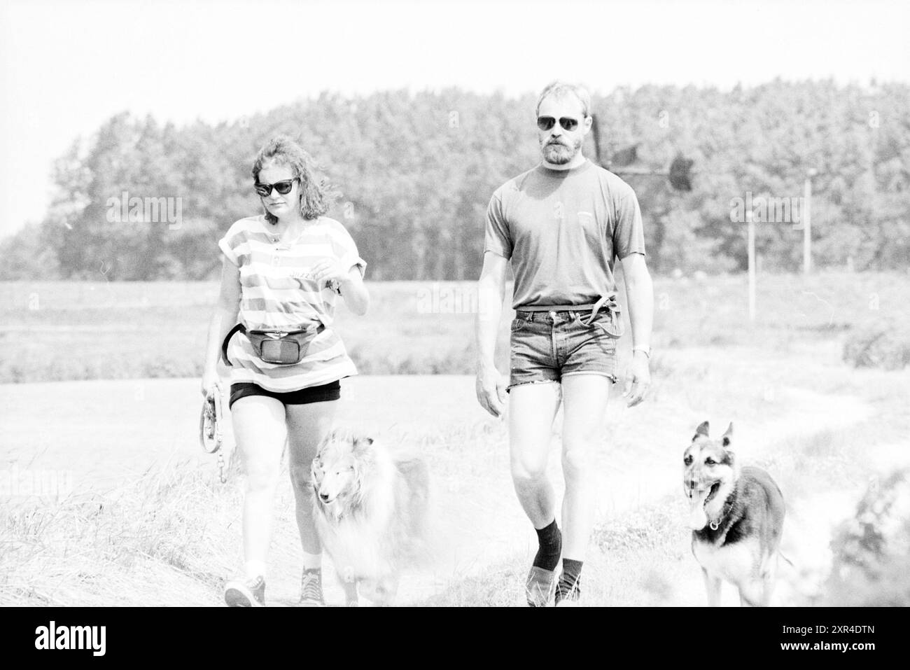 2 personnes + chien : catégorie séjour à la maison, 12-07-1994, Whizgle Dutch News : images historiques sur mesure pour l'avenir. Explorez le passé néerlandais avec des perspectives modernes grâce à des images d'agences néerlandaises. Concilier les événements d'hier avec les perspectives de demain. Embarquez pour un voyage intemporel avec des histoires qui façonnent notre avenir. Banque D'Images