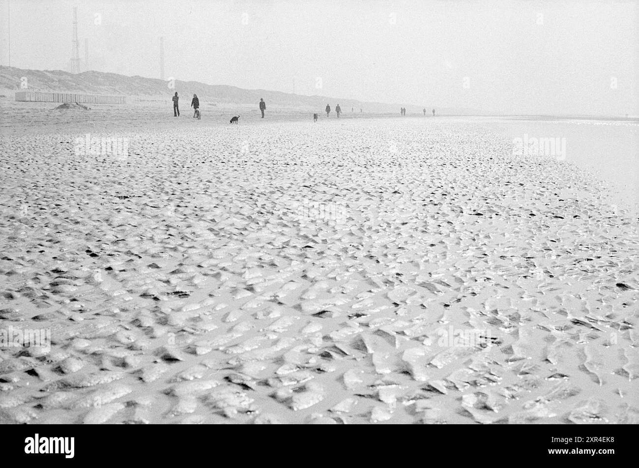 Mer à marée basse, Whizgle Dutch News : des images historiques sur mesure pour l'avenir. Explorez le passé néerlandais avec des perspectives modernes grâce à des images d'agences néerlandaises. Concilier les événements d'hier avec les perspectives de demain. Embarquez pour un voyage intemporel avec des histoires qui façonnent notre avenir. Banque D'Images