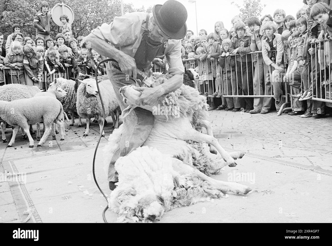 Marché des arts et de l'artisanat, H'kerk, Kunstmarkt, 18-06-1977, Whizgle Dutch News : images historiques sur mesure pour l'avenir. Explorez le passé néerlandais avec des perspectives modernes grâce à des images d'agences néerlandaises. Concilier les événements d'hier avec les perspectives de demain. Embarquez pour un voyage intemporel avec des histoires qui façonnent notre avenir. Banque D'Images