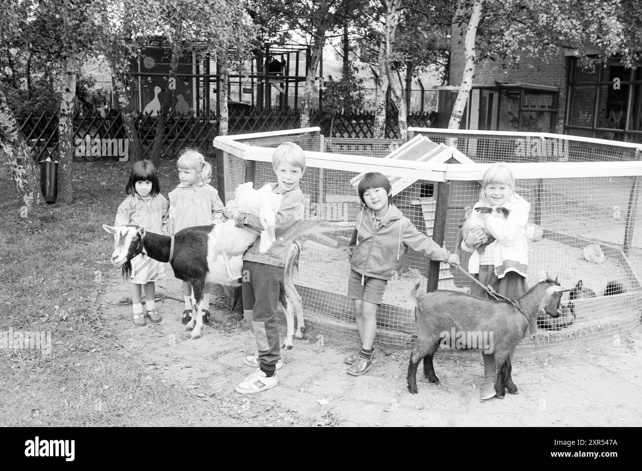 Enfants avec des animaux caressant zoo à l'école, animaux, enfants, enfant, maisons d'enfants, fête d'enfants, enfants, 14-09-1984, Whizgle Dutch News : images historiques sur mesure pour l'avenir. Explorez le passé néerlandais avec des perspectives modernes grâce à des images d'agences néerlandaises. Concilier les événements d'hier avec les perspectives de demain. Embarquez pour un voyage intemporel avec des histoires qui façonnent notre avenir. Banque D'Images