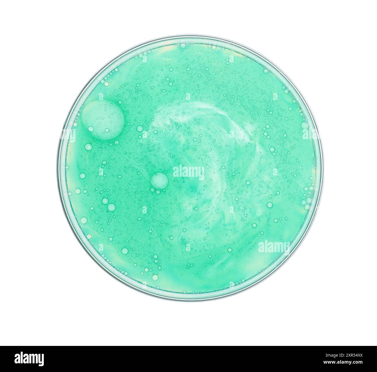 Boîte de Petri avec échantillon isolé sur blanc, vue de dessus Banque D'Images