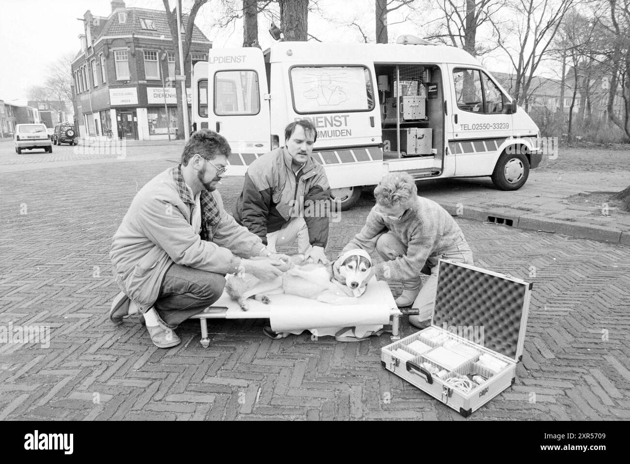 Situation de travail service de sauvetage des animaux, animaux, 09-03-1990, Whizgle Dutch News : images historiques sur mesure pour l'avenir. Explorez le passé néerlandais avec des perspectives modernes grâce à des images d'agences néerlandaises. Concilier les événements d'hier avec les perspectives de demain. Embarquez pour un voyage intemporel avec des histoires qui façonnent notre avenir. Banque D'Images