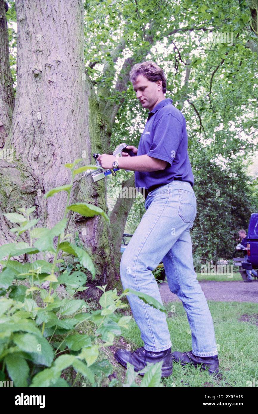 Tree Surgeon, Whizgle Dutch News : des images historiques sur mesure pour l'avenir. Explorez le passé néerlandais avec des perspectives modernes grâce à des images d'agences néerlandaises. Concilier les événements d'hier avec les perspectives de demain. Embarquez pour un voyage intemporel avec des histoires qui façonnent notre avenir. Banque D'Images