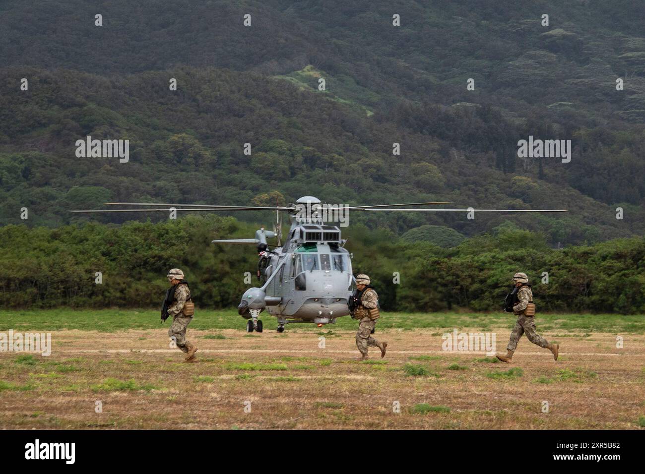Les Marines d'infanterie navale péruvienne quittent un H-3 Sea King péruvien pour mener une répétition d'assaut aérien à la Marine corps Training Area Bellows, Hawaii, le 25 juillet 2024. La répétition de l'assaut aérien était un effort conjoint entre les États-Unis et les partenaires alliés pour l'exercice Rim of the Pacific (RIMPAC) 2024 visant à améliorer l'interopérabilité. Vingt-neuf pays, 40 navires de surface, trois sous-marins, 14 forces terrestres nationales, plus de 150 avions et 25 000 membres du personnel participent au RIMPAC dans et autour des îles Hawaï, du 27 juin au 1er août. Le RIMPAC, le plus grand exercice maritime international au monde, offre une expérience unique Banque D'Images