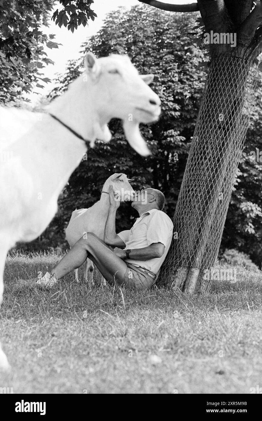 Éleveur de chèvres Van Gelder Zwanenburg, Zwanenburg, 25-07-1994, Whizgle Dutch News : des images historiques sur mesure pour l'avenir. Explorez le passé néerlandais avec des perspectives modernes grâce à des images d'agences néerlandaises. Concilier les événements d'hier avec les perspectives de demain. Embarquez pour un voyage intemporel avec des histoires qui façonnent notre avenir. Banque D'Images