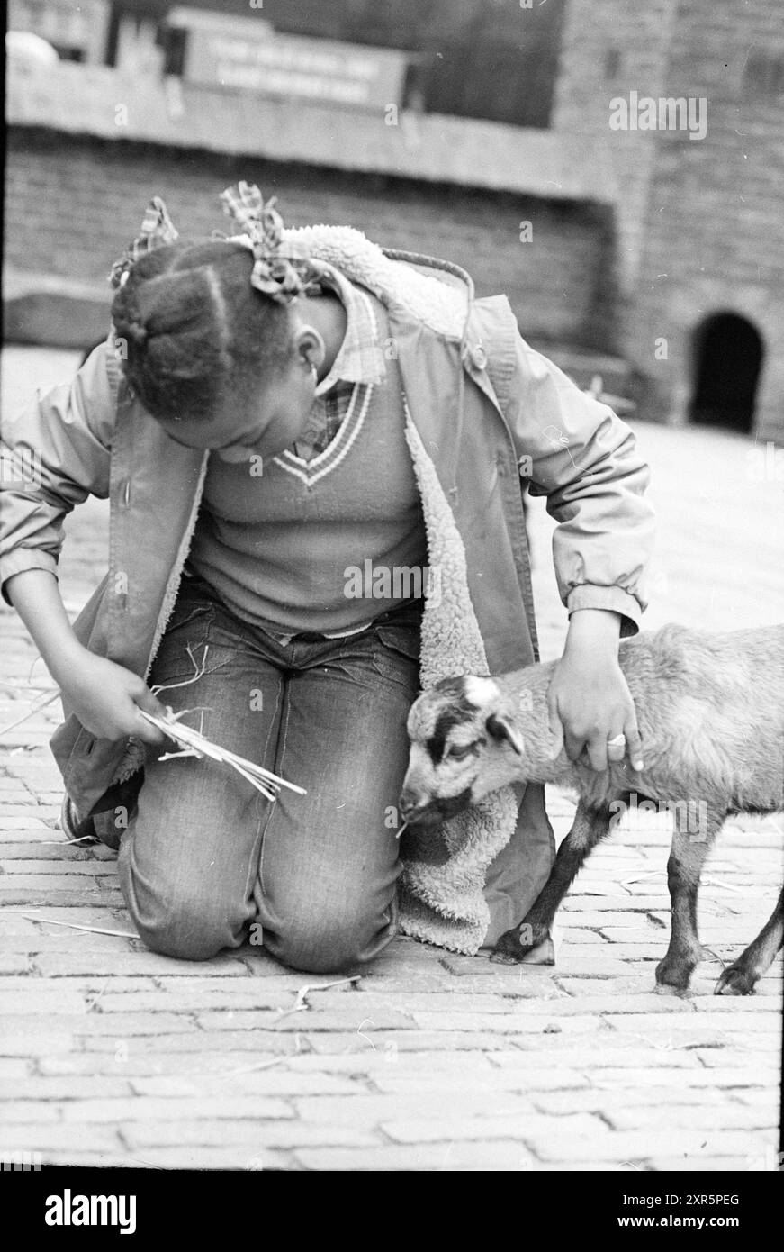 Enfants avec des animaux dans un zoo pour enfants, 03-07-1981, Whizgle Dutch News : des images historiques sur mesure pour l'avenir. Explorez le passé néerlandais avec des perspectives modernes grâce à des images d'agences néerlandaises. Concilier les événements d'hier avec les perspectives de demain. Embarquez pour un voyage intemporel avec des histoires qui façonnent notre avenir. Banque D'Images