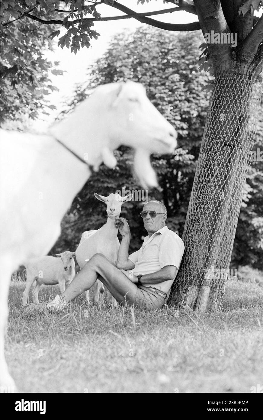Éleveur de chèvres Van Gelder Zwanenburg, Zwanenburg, 25-07-1994, Whizgle Dutch News : des images historiques sur mesure pour l'avenir. Explorez le passé néerlandais avec des perspectives modernes grâce à des images d'agences néerlandaises. Concilier les événements d'hier avec les perspectives de demain. Embarquez pour un voyage intemporel avec des histoires qui façonnent notre avenir. Banque D'Images
