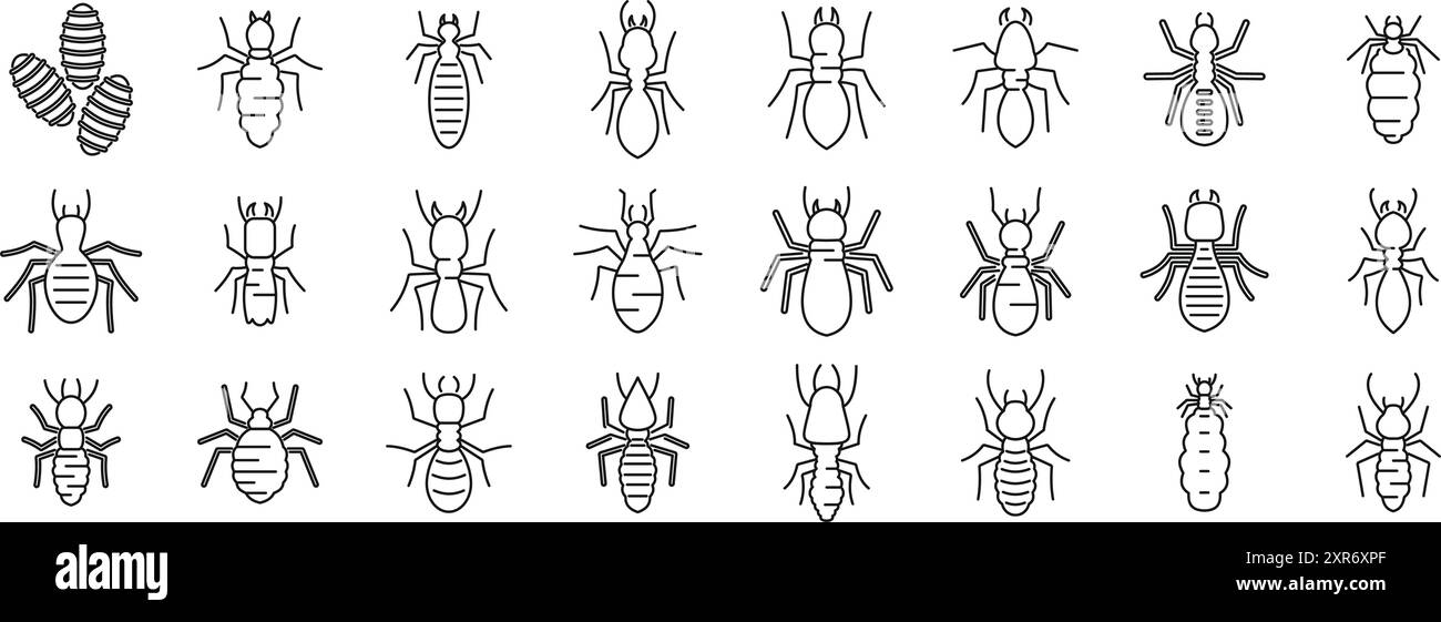 Icônes de termites définies. Ensemble d'icônes de logo de lutte antiparasitaire termites montrant différentes espèces et étapes du cycle de vie Illustration de Vecteur