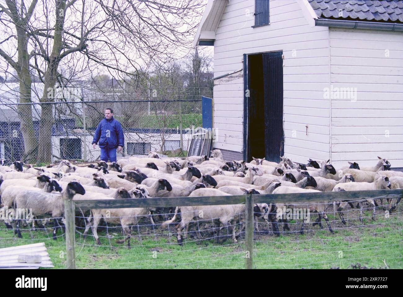 Éleveur de moutons, Rijsenhout, Rijsenhout, 12-04-2001, Whizgle Dutch News : des images historiques sur mesure pour l'avenir. Explorez le passé néerlandais avec des perspectives modernes grâce à des images d'agences néerlandaises. Concilier les événements d'hier avec les perspectives de demain. Embarquez pour un voyage intemporel avec des histoires qui façonnent notre avenir. Banque D'Images Éleveur de moutons, Rijsenhout, Rijsenhout, 12-04-2001, Whizgle Dutch News : des images historiques sur mesure pour l'avenir. Explorez le passé néerlandais avec des perspectives modernes grâce à des images d'agences néerlandaises. Concilier les événements d'hier avec les perspectives de demain. Embarquez pour un voyage intemporel avec des histoires qui façonnent notre avenir. Banque D'Images