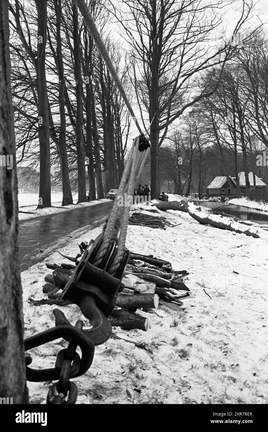 Couper les arbres Elswoutslaan, travail, 18-02-1964, Whizgle Dutch News : images historiques sur mesure pour l'avenir. Explorez le passé néerlandais avec des perspectives modernes grâce à des images d'agences néerlandaises. Concilier les événements d'hier avec les perspectives de demain. Embarquez pour un voyage intemporel avec des histoires qui façonnent notre avenir. Banque D'Images