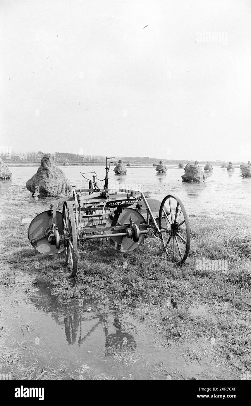 Pâturages inondés de gerbes de foin, Agriculture, 12-09-1963, Whizgle Dutch News : images historiques sur mesure pour l'avenir. Explorez le passé néerlandais avec des perspectives modernes grâce à des images d'agences néerlandaises. Concilier les événements d'hier avec les perspectives de demain. Embarquez pour un voyage intemporel avec des histoires qui façonnent notre avenir. Banque D'Images