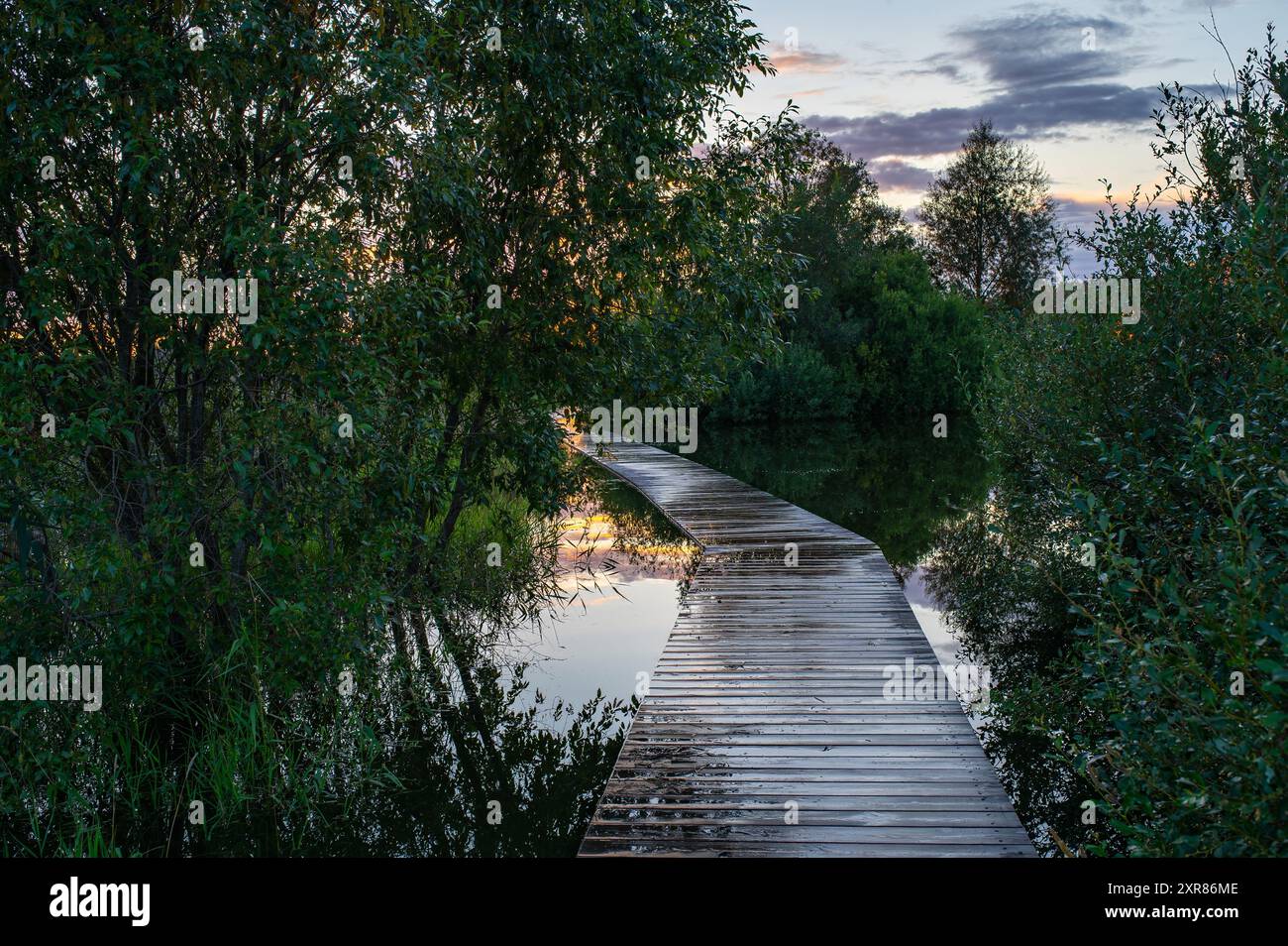 National Take a Hike Day. Journée mondiale du tourisme. Le Sabbat. Jour national du coucher du soleil. Paysage en Estonie Voru avec sentier inondé à travers Meadow en été Banque D'Images