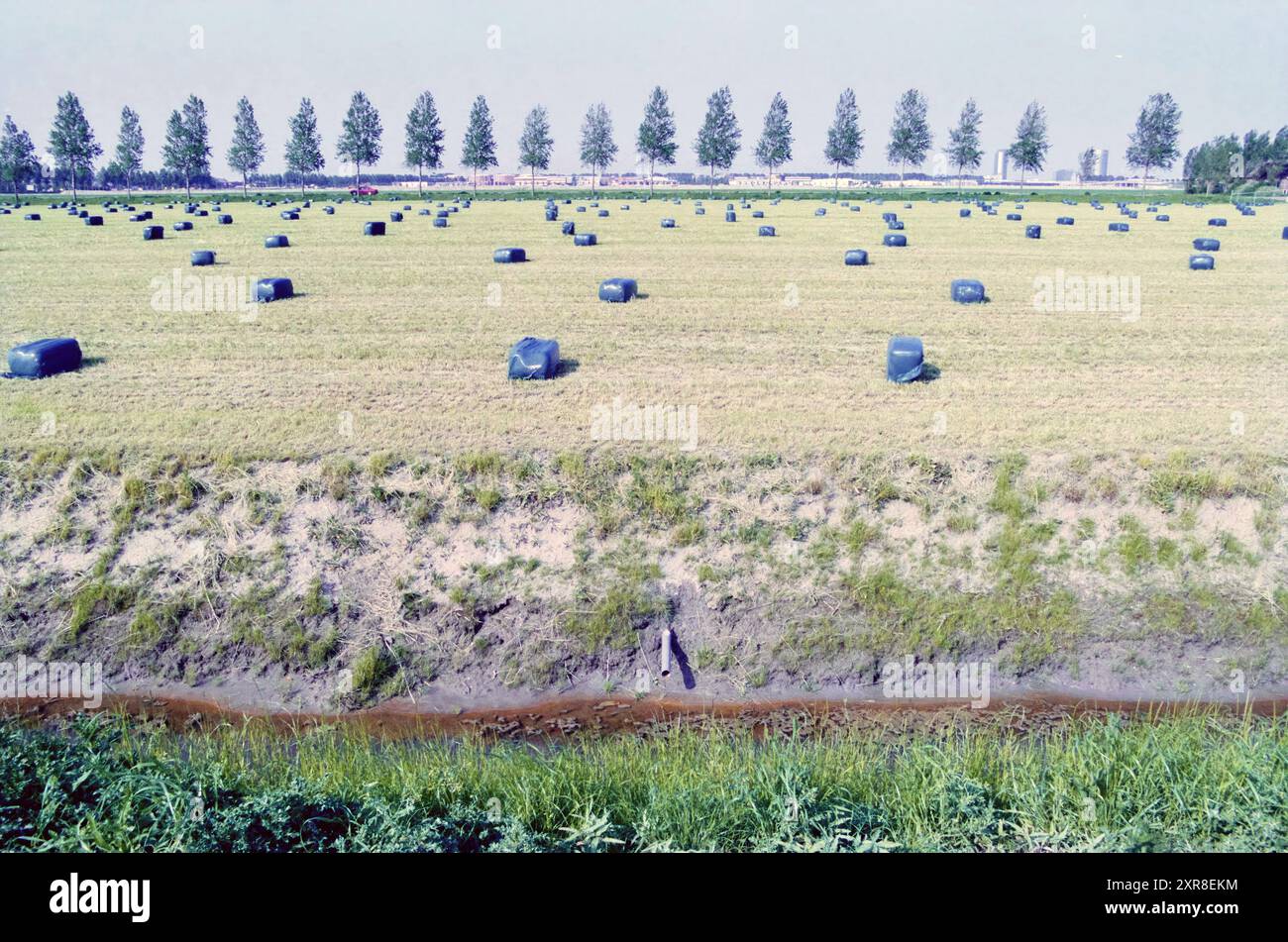 Paquets de paille, Whizgle Dutch News : des images historiques sur mesure pour l'avenir. Explorez le passé néerlandais avec des perspectives modernes grâce à des images d'agences néerlandaises. Concilier les événements d'hier avec les perspectives de demain. Embarquez pour un voyage intemporel avec des histoires qui façonnent notre avenir. Banque D'Images