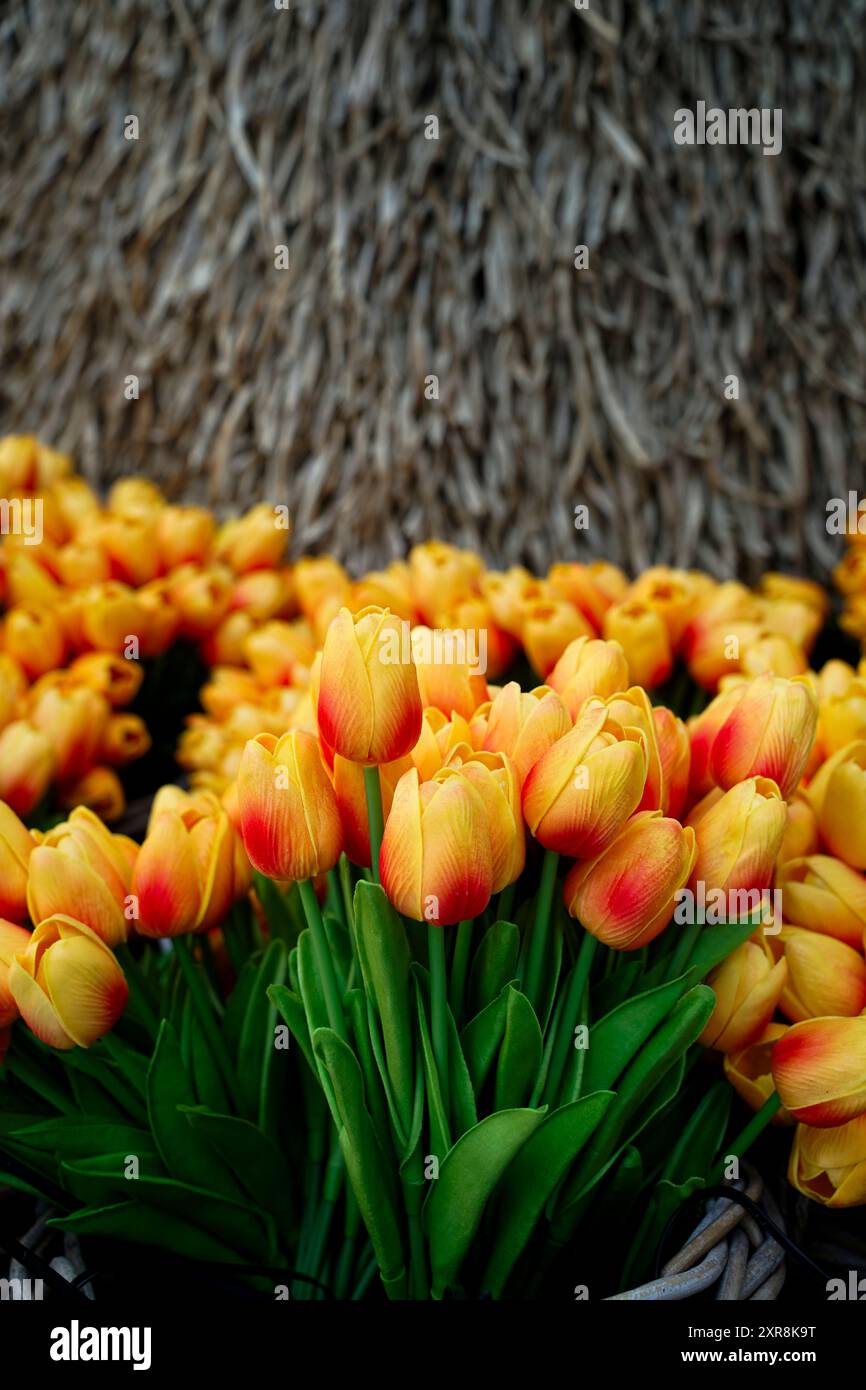 concept photo de beaucoup de tulipes rouges jaunes artificielles en plein air et aucune personne Banque D'Images