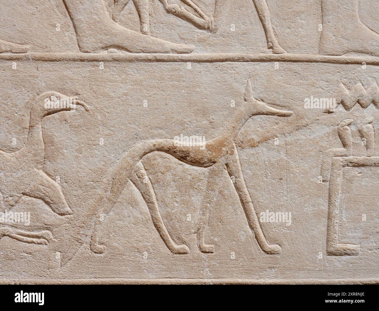 Reliefs de chien de l'intérieur de la tombe de Kagemni Egypte Banque D'Images