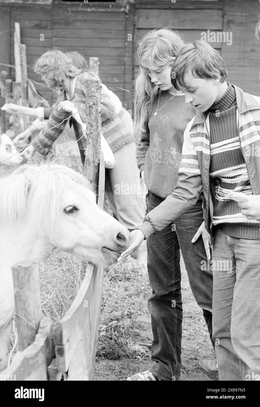 Producteur de fromage Ede, fromage, vacances, vacanciers, Ede, 19-07-1979, Whizgle Dutch News : des images historiques sur mesure pour l'avenir. Explorez le passé néerlandais avec des perspectives modernes grâce à des images d'agences néerlandaises. Concilier les événements d'hier avec les perspectives de demain. Embarquez pour un voyage intemporel avec des histoires qui façonnent notre avenir. Banque D'Images