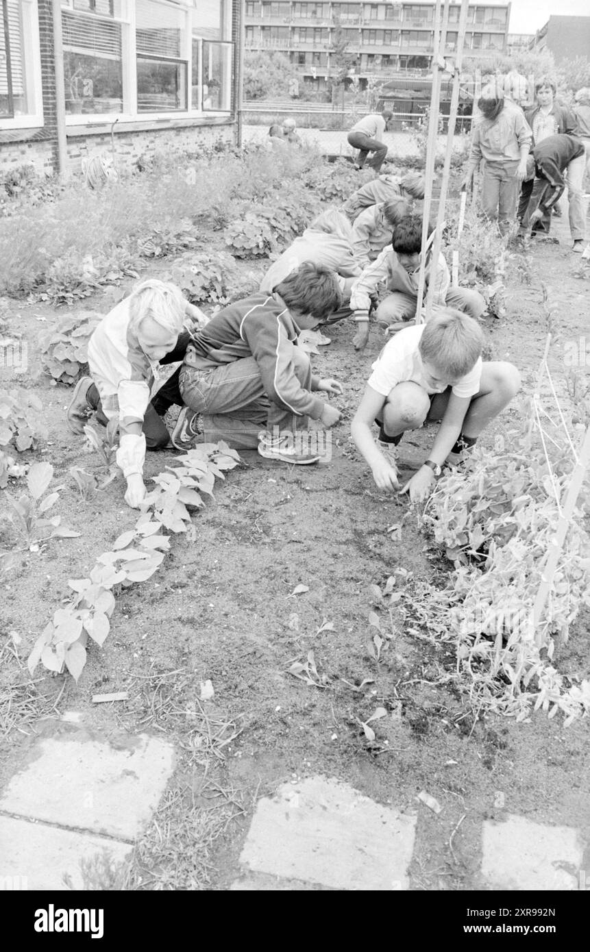 Jardin scolaire J.F. Kennedy School, jardins et parcs, IJmuiden, pays-Bas, 01-07-1982, Whizgle Dutch News : des images historiques sur mesure pour l'avenir. Explorez le passé néerlandais avec des perspectives modernes grâce à des images d'agences néerlandaises. Concilier les événements d'hier avec les perspectives de demain. Embarquez pour un voyage intemporel avec des histoires qui façonnent notre avenir. Banque D'Images