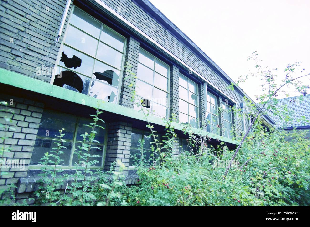 Fenêtres cassées d'un bâtiment scolaire, 00-10-1999, Whizgle Dutch News : images historiques sur mesure pour l'avenir. Explorez le passé néerlandais avec des perspectives modernes grâce à des images d'agences néerlandaises. Concilier les événements d'hier avec les perspectives de demain. Embarquez pour un voyage intemporel avec des histoires qui façonnent notre avenir. Banque D'Images