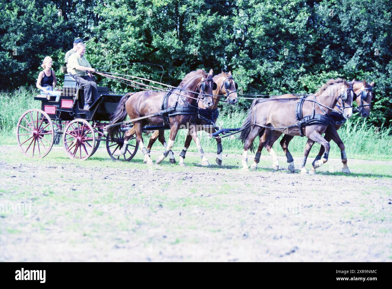 Four-in-Hand, Spaarnwoude, 05-08-1998, Whizgle Dutch News : images historiques sur mesure pour l'avenir. Explorez le passé néerlandais avec des perspectives modernes grâce à des images d'agences néerlandaises. Concilier les événements d'hier avec les perspectives de demain. Embarquez pour un voyage intemporel avec des histoires qui façonnent notre avenir. Banque D'Images