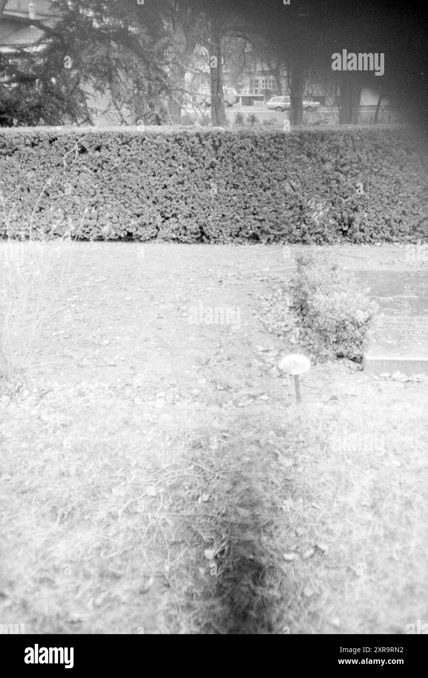 Tombe de Christiaan Lindemans King Kong, graves, War Remains, 21-01-1986, Whizgle Dutch News : images historiques adaptées pour l'avenir. Explorez le passé néerlandais avec des perspectives modernes grâce à des images d'agences néerlandaises. Concilier les événements d'hier avec les perspectives de demain. Embarquez pour un voyage intemporel avec des histoires qui façonnent notre avenir. Banque D'Images