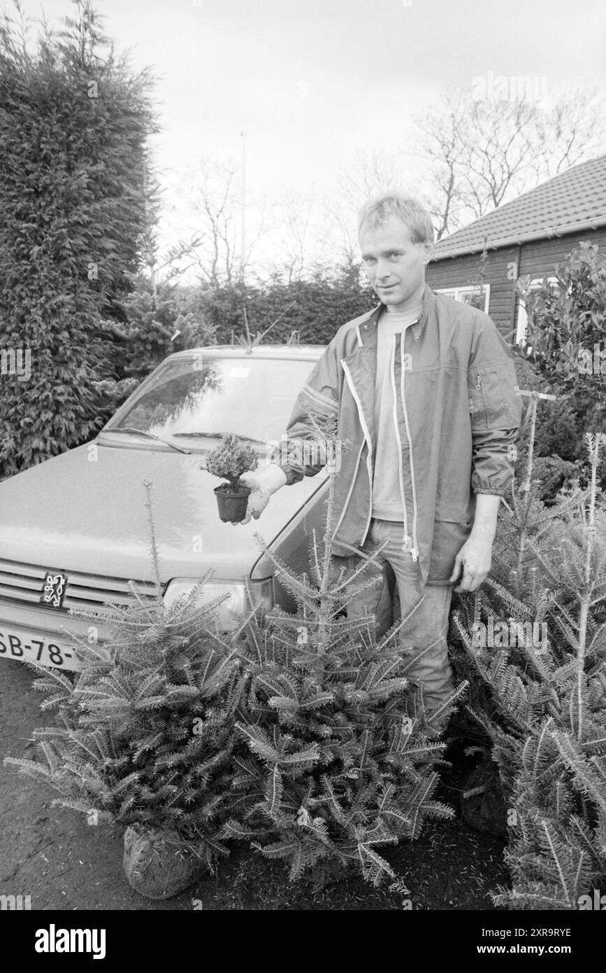 Louer un sapin de Noël de Loeff à Santpoort, Noël et arbres de Noël, Santpoort, 11-12-1987, Whizgle Dutch News : images historiques sur mesure pour l'avenir. Explorez le passé néerlandais avec des perspectives modernes grâce à des images d'agences néerlandaises. Concilier les événements d'hier avec les perspectives de demain. Embarquez pour un voyage intemporel avec des histoires qui façonnent notre avenir. Banque D'Images