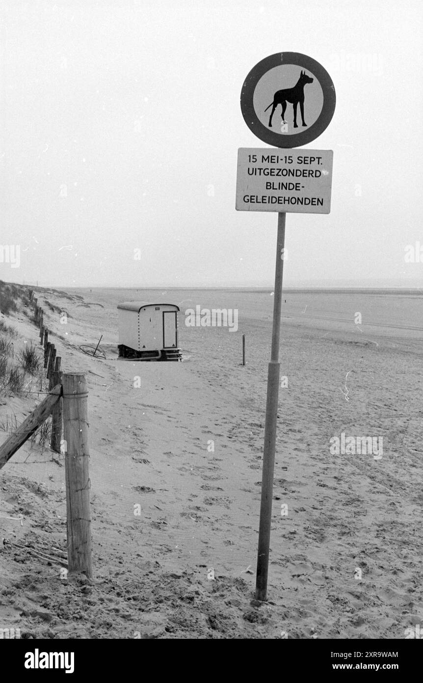 Panneau 'pas de chiens autorisés' sur la plage d'IJmuiden, 30-05-1983, Whizgle Dutch News : des images historiques sur mesure pour l'avenir. Explorez le passé néerlandais avec des perspectives modernes grâce à des images d'agences néerlandaises. Concilier les événements d'hier avec les perspectives de demain. Embarquez pour un voyage intemporel avec des histoires qui façonnent notre avenir. Banque D'Images