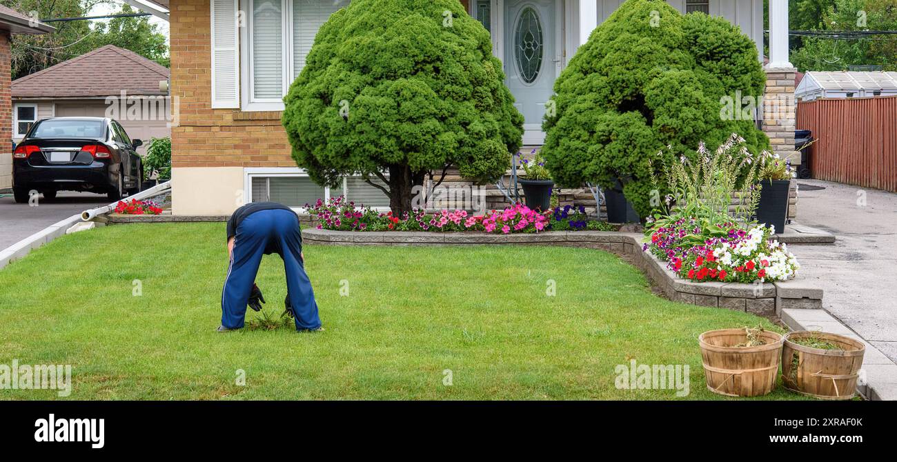 Un homme travaillant sur la pelouse d'une maison Banque D'Images