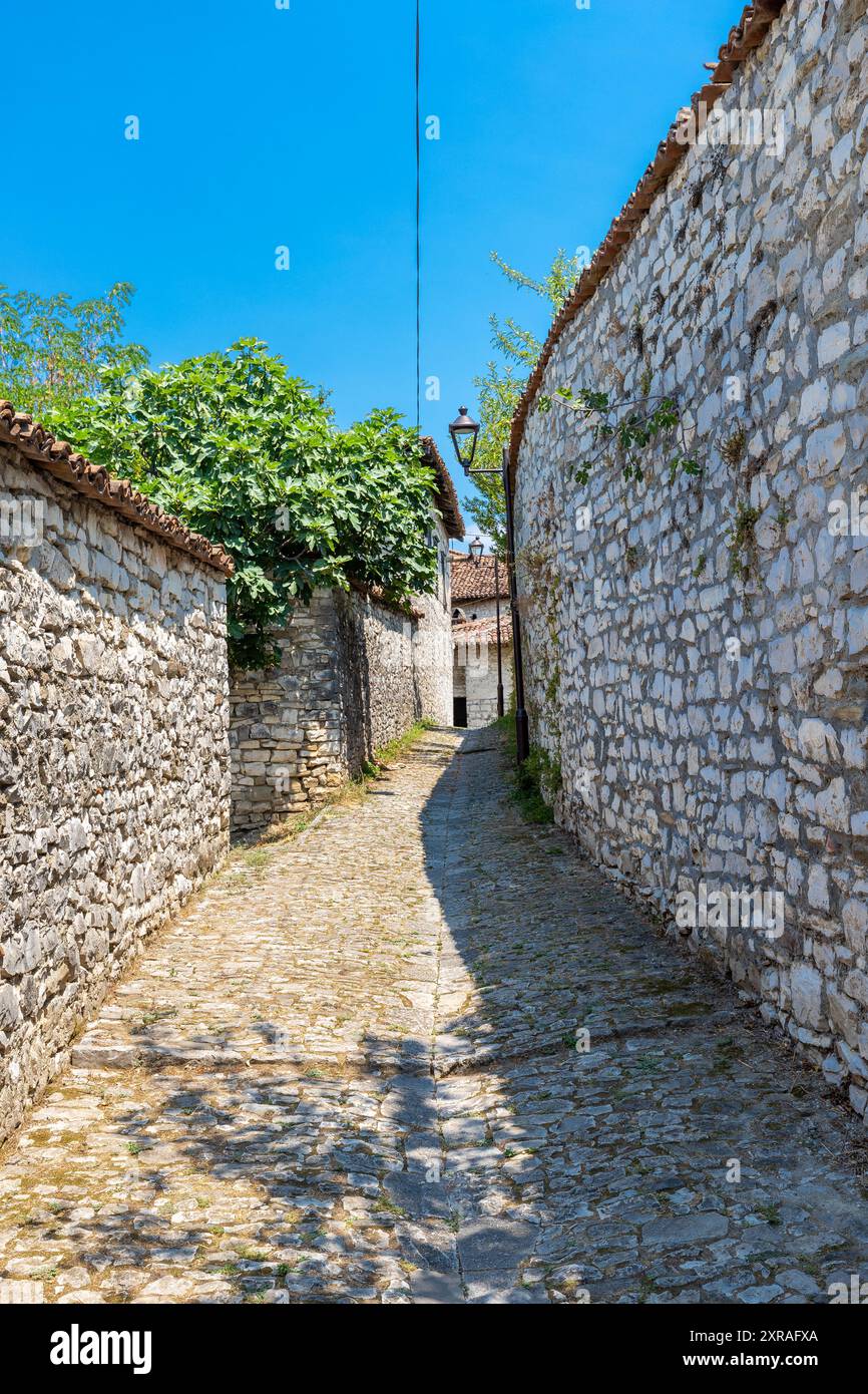 Le château de Berat ou la citadelle de Berat est une forteresse surplombant la ville de Berat, en Albanie. Il date principalement du 13ème siècle et contient de nombreux Byz Banque D'Images