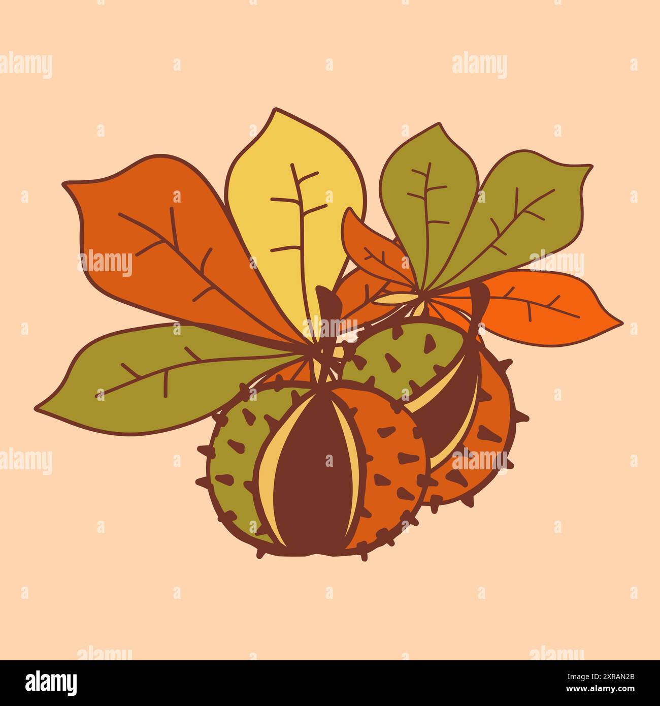 Deux châtaignes entourées de feuilles d'automne colorées sur un fond clair Illustration de Vecteur