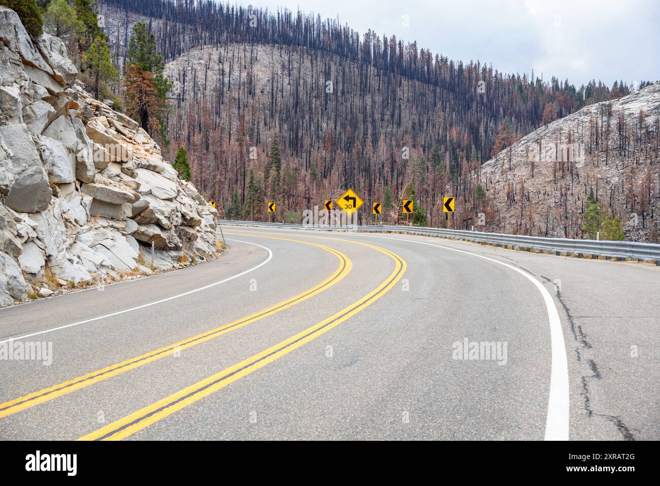 Arbres brûlés le long d'une route de montagne sinueuse en Californie par un jour nuageux d'automne Banque D'Images