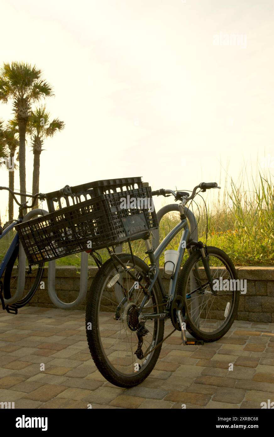 Vélo avec panier garé sur Ocean Drive à North Myrtle Beach, SC, États-Unis Banque D'Images